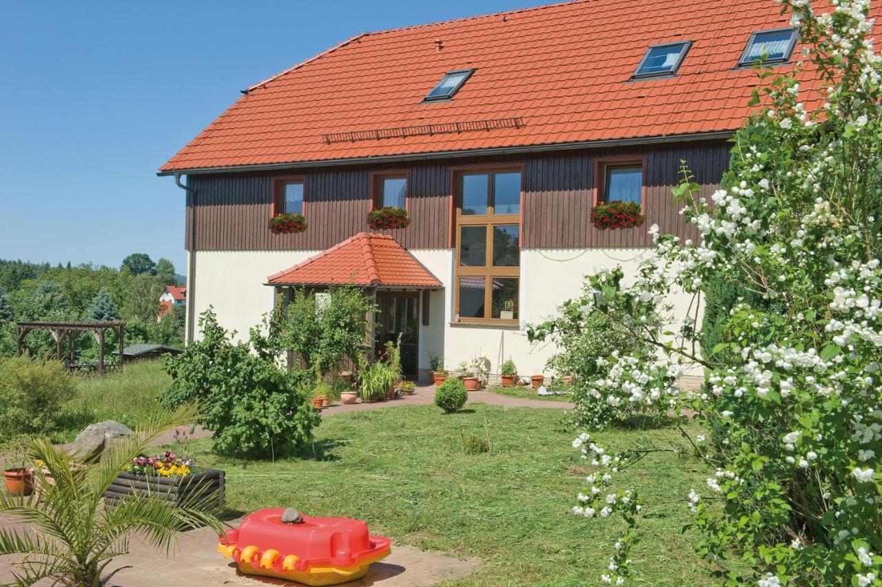 Ferienpension Gabriele 61 Kurort Gohrisch Exterior foto